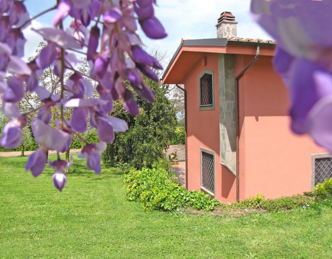 B&B Ai Glicini - Castelli Romani Marino Buitenkant foto