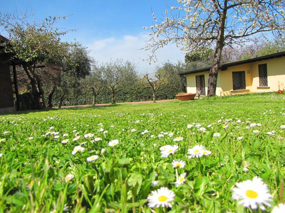 B&B Ai Glicini - Castelli Romani Marino Buitenkant foto