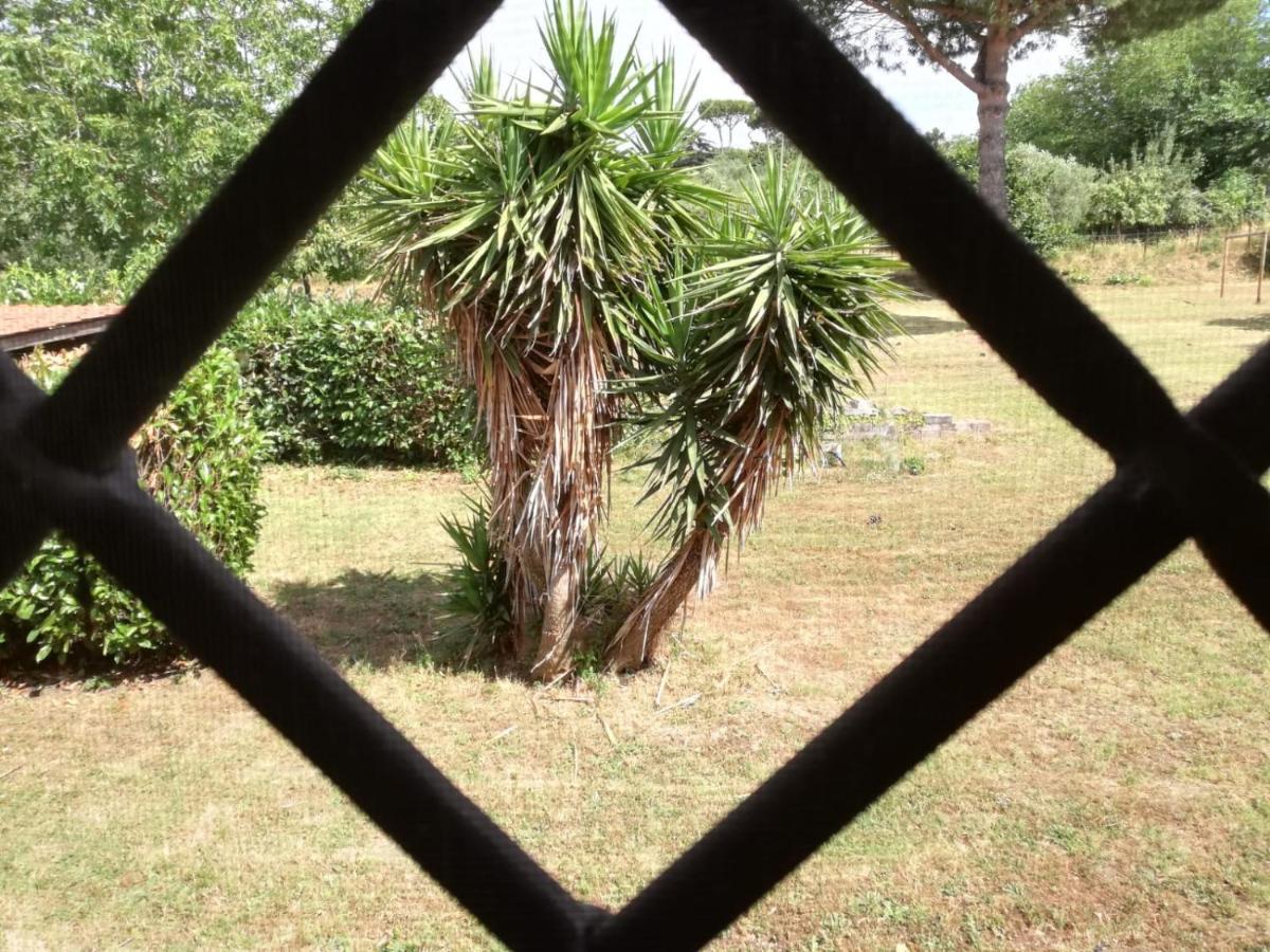 B&B Ai Glicini - Castelli Romani Marino Buitenkant foto