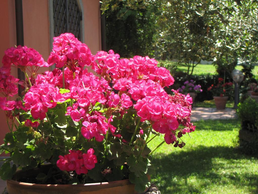 B&B Ai Glicini - Castelli Romani Marino Buitenkant foto