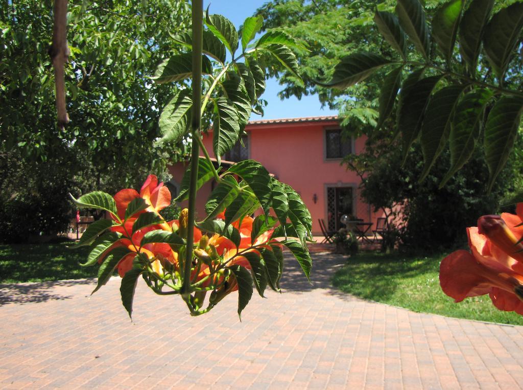 B&B Ai Glicini - Castelli Romani Marino Buitenkant foto