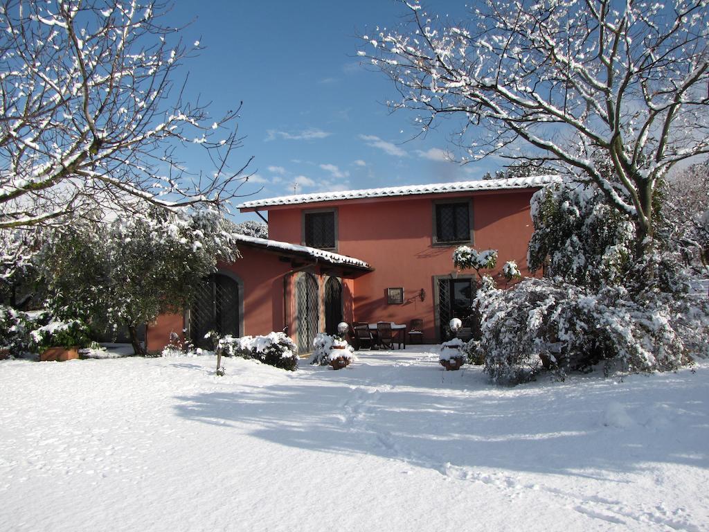 B&B Ai Glicini - Castelli Romani Marino Buitenkant foto